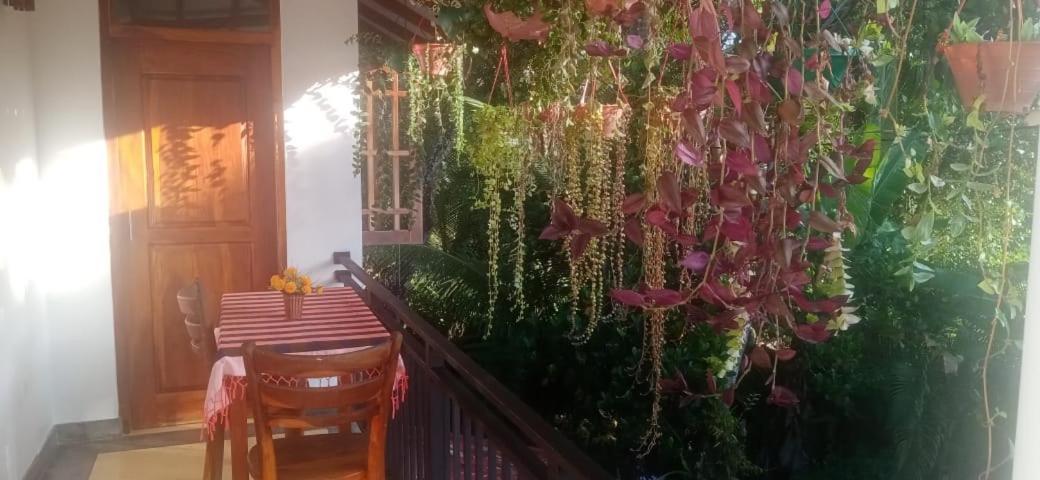 Jungle View One Bedroom Private Apartment Unawatuna Exteriör bild